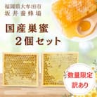 訳あり　国産巣蜜(コムハニー) 2個セット