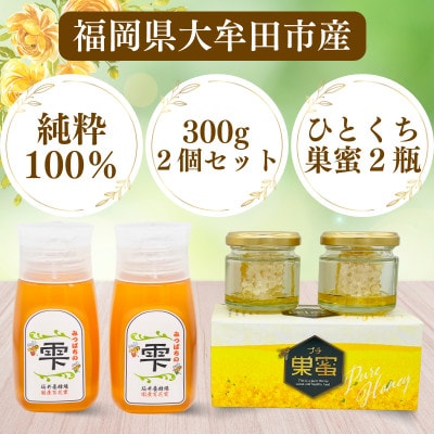 坂井養蜂場　みつばちの雫+プチ巣蜜セット　国産百花蜜300g×2　国産巣蜜30g×2