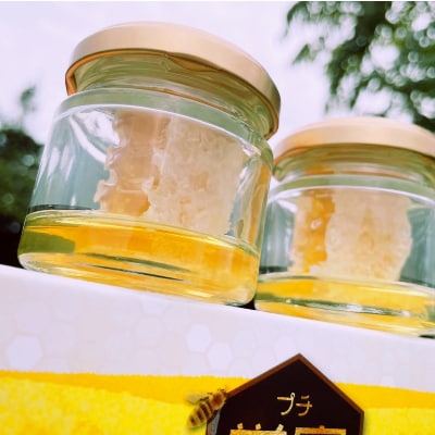 坂井養蜂場　みつばちの雫+プチ巣蜜セット　国産百花蜜300g×2　国産巣蜜30g×2