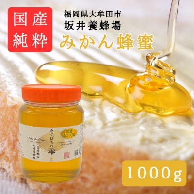 みつばちの雫　国産みかん蜂蜜　1000g
