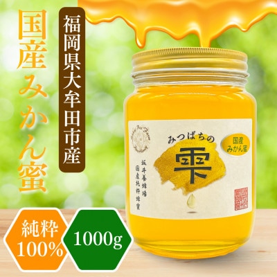 みつばちの雫　国産みかん蜂蜜　1000g