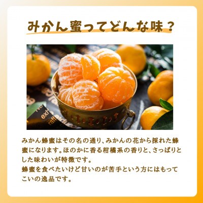 みつばちの雫　国産みかん蜂蜜　1000g