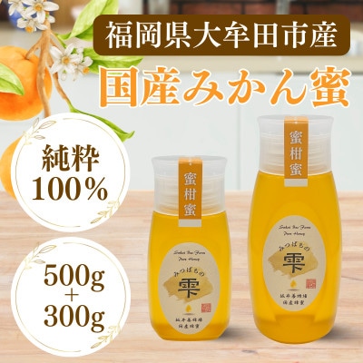 みつばちの雫　国産みかん蜂蜜　500g+300g