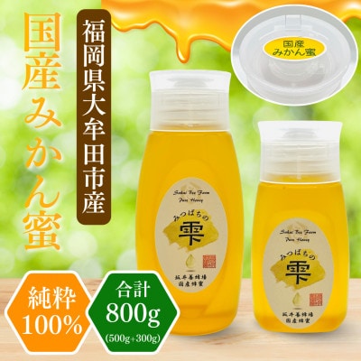 みつばちの雫　国産みかん蜂蜜　500g+300g