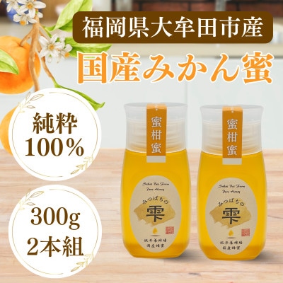 みつばちの雫　国産みかん蜂蜜　300g×2