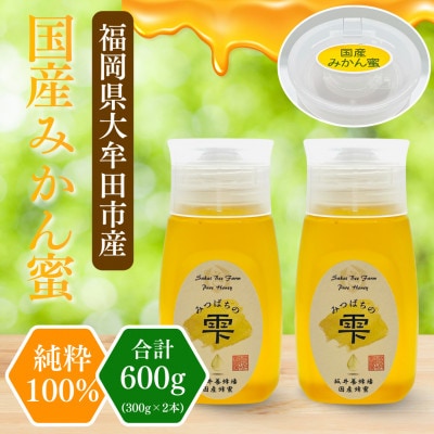 みつばちの雫　国産みかん蜂蜜　300g×2