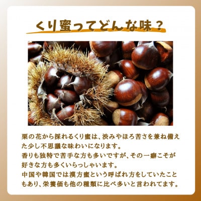 みつばちの雫　国産くり蜂蜜　500g+300g