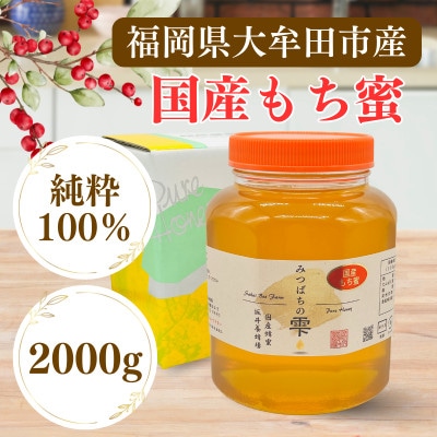 みつばちの雫　国産もち蜂蜜　2000g