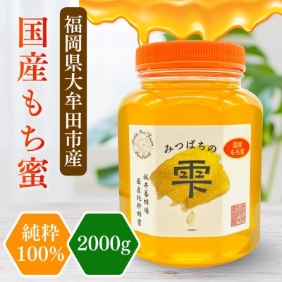 みつばちの雫　国産もち蜂蜜　2000g