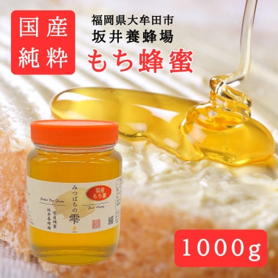 みつばちの雫　国産もち蜂蜜　1000g