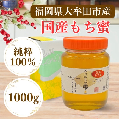 みつばちの雫　国産もち蜂蜜　1000g