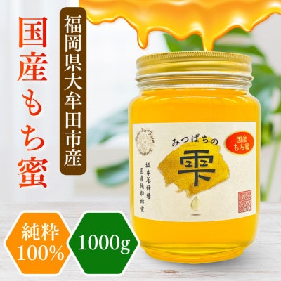 みつばちの雫　国産もち蜂蜜　1000g