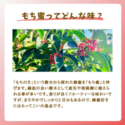 みつばちの雫　国産もち蜂蜜　1000g