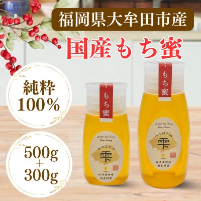 みつばちの雫　国産もち蜂蜜　500g+300g