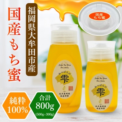 みつばちの雫　国産もち蜂蜜　500g+300g