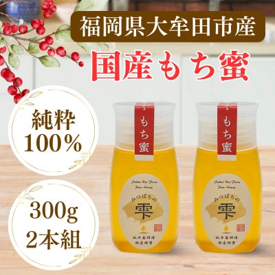 みつばちの雫　国産もち蜂蜜　300g×2　
