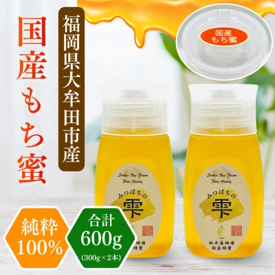みつばちの雫　国産もち蜂蜜　300g×2　