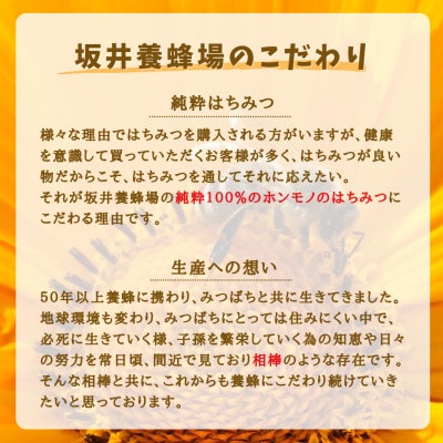 みつばちの雫　国産れんげ蜜　300g×2