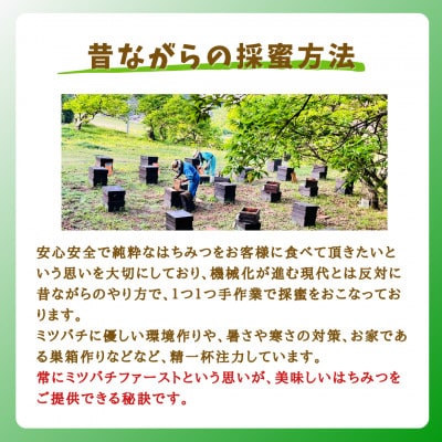 みつばちの雫　国産れんげ蜜　300g×2