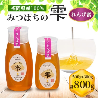 みつばちの雫　国産れんげ蜜　500g+300g