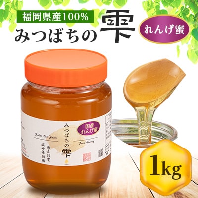 みつばちの雫　国産れんげ蜜　1000g