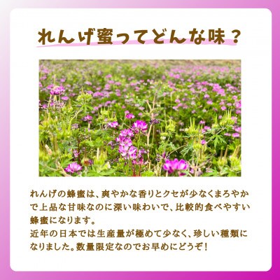 みつばちの雫　国産れんげ蜜　1000g