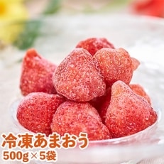 フルーツ屋さんの福岡産　夏のあまおう苺(冷凍)500g×5袋(大牟田市)