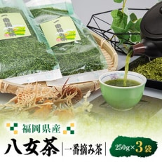 八女茶一番摘み茶 250g&times;3