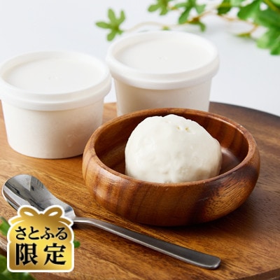 【さとふる限定】九州ナチュラルアイスクリームおおむたみるく　90ml×6個