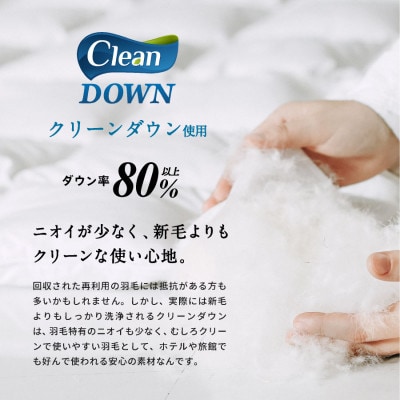 クリーン羽毛(リサイクル羽毛)掛布団　シングル　羽毛量1.4kg　色、柄おまかせ