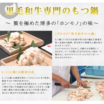 黒毛和牛専門　もつ鍋こうづき　もつ鍋セット　白味噌味　2～3人前(大牟田市)