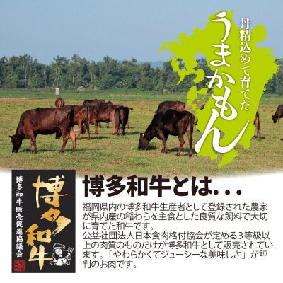 博多和牛生ハンバーグ150g×6パック　合計900g(大牟田市)