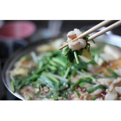 冷凍もつ鍋セット(2人前)と明太子クリームパスタソース(1食分)の盛合わせ