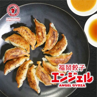 福岡エンジェル餃子の大人気ホルモン餃子(12個)×4パック+みそダレ(150ml)×1個
