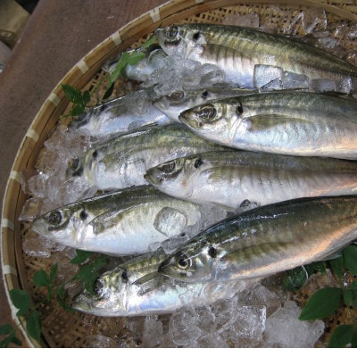 【無添加・天日干し・手造り】地あじひらき10枚セット