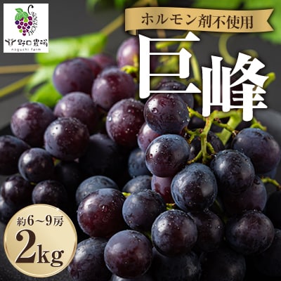 福岡県産　巨峰　2kg(野口農場)