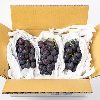 福岡県産　巨峰　2kg(野口農場)