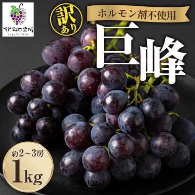 福岡県産　巨峰　1kg(野口農場)