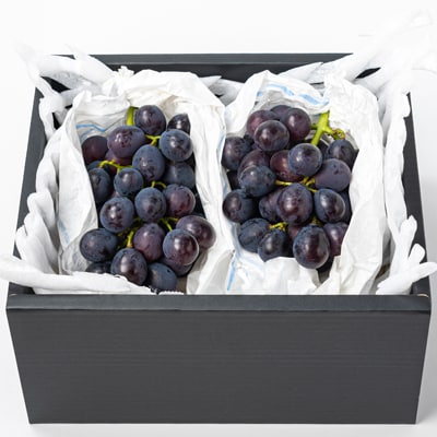 福岡県産　巨峰　1kg(野口農場)