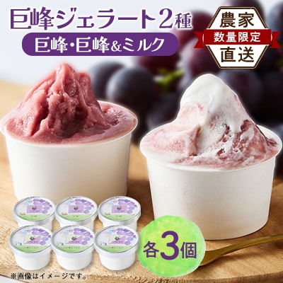 福岡県　巨峰100%と巨峰とミルクのミックスジェラート(各80ml3個　合計6個セット)(大牟田市)