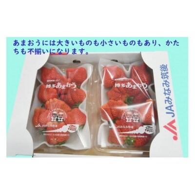【期間限定】あまおうDX(デラックス)4パック(大牟田市)