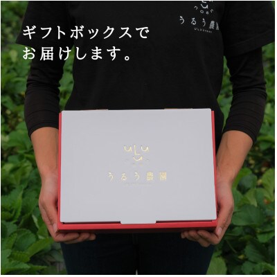 うるう農園の贈答用あまおう(400g)(大牟田市)