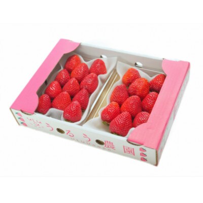 うるう農園のあまおうDX等級 2パック(570g)(大牟田市)