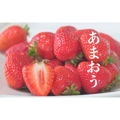 うるう農園のあまおうM～Gサイズ 4パック (約1140g)(大牟田市)
