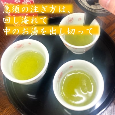やすらぎの味!八女緑茶(煎茶)100g×3