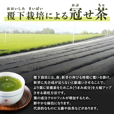 銘茶の里奥八女 特上深蒸し茶 高級煎茶(冠せ茶)(各100g×2)