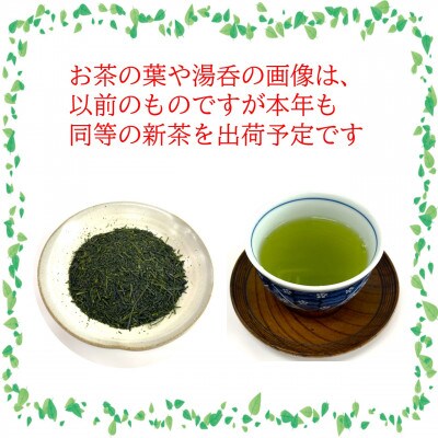 令和7年 八十八夜摘み高級八女新茶100g×2本