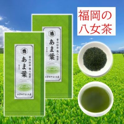 福岡県産 八女かぶせ茶 (あま葉) 100g詰め 2本