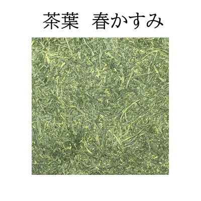八女茶 深蒸し仕立て 春かすみ100g×2本