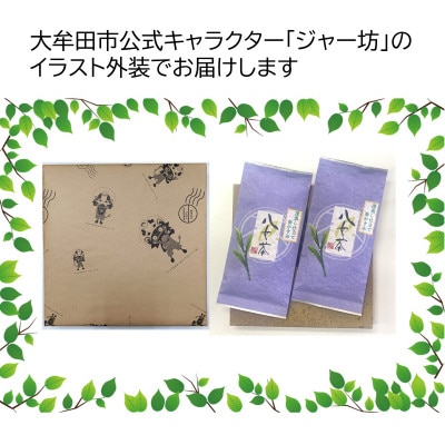 八女茶 深蒸し仕立て 春かすみ100g×2本